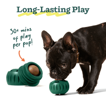 Load image into Gallery viewer, Woof Popsicle Refill