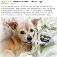 Load image into Gallery viewer, 4-Legger USDA Certified Organic Healing Balm for Dog Nose and Paw Pads