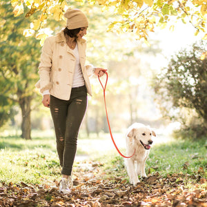 Viper Biothane 20 ft Dog Leash - Long Line Lead used by a woman walking her dog on a sunny autumn day.