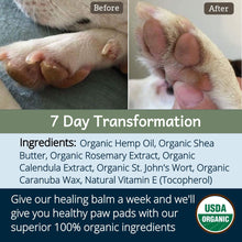 Load image into Gallery viewer, 4-Legger USDA Certified Organic Healing Balm for Dog Nose and Paw Pads