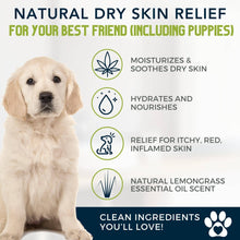 Load image into Gallery viewer, 4-Legger MOISTURIZE Organic Hemp Dog Shampoo with Lemongrass