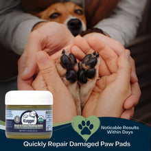 Load image into Gallery viewer, 4-Legger USDA Certified Organic Healing Balm for Dog Nose and Paw Pads