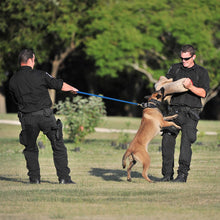Load image into Gallery viewer, Viper Biothane 20 ft Dog Leash - Long Line Lead in action with trained dogs and handlers outdoors.
