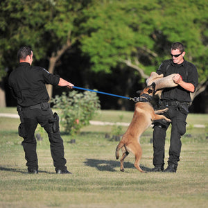 Viper Biothane 20 ft Dog Leash - Long Line Lead in action with trained dogs and handlers outdoors.