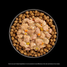 Load image into Gallery viewer, Go! Cat Booster Pouches 2.5oz served with crunchy kibble for enhanced flavor and hydration.