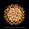 Go! Cat Booster Pouches 2.5oz served with crunchy kibble for enhanced flavor and hydration.