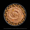 Go! Cat Booster Pouches 2.5oz displayed in a bowl with dry cat food and moist topping.