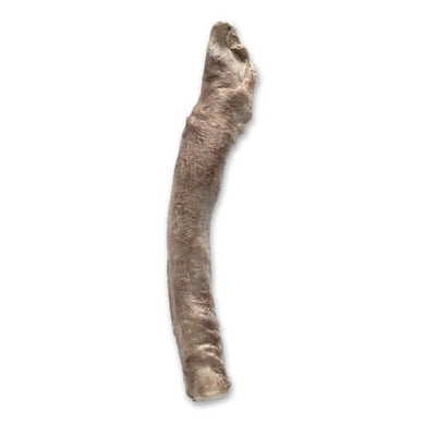 Bones & Co Freeze Dried Bully Stick for dogs - a natural, long-lasting chew treat.