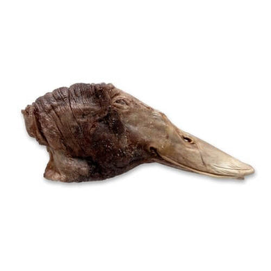 Vital Essentials Freeze Dried Duck Head for dogs - nutritious, dog treat, high protein, natural ingredient