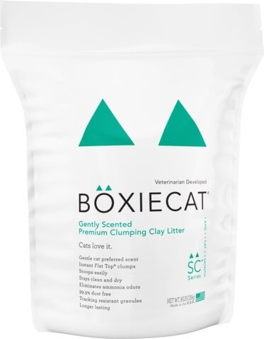 Boxiecat Premium Clumping Clay Cat Litter Gently Scented - Bakersfield Pet Food Delivery