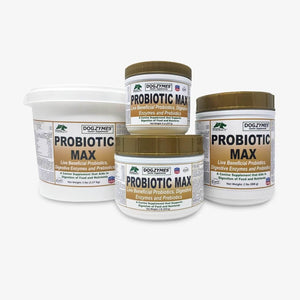 Dogzymes Probiotic Max 8oz