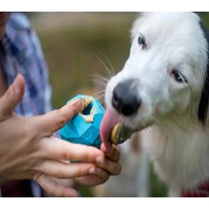 Ruffwear Gnawt-a-Cone